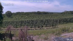 view from UM CSO on 2025-06-16
