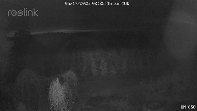 time-lapse frame, UM CSO webcam