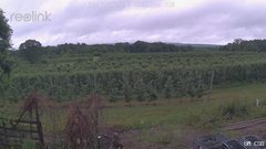 view from UM CSO on 2025-06-17