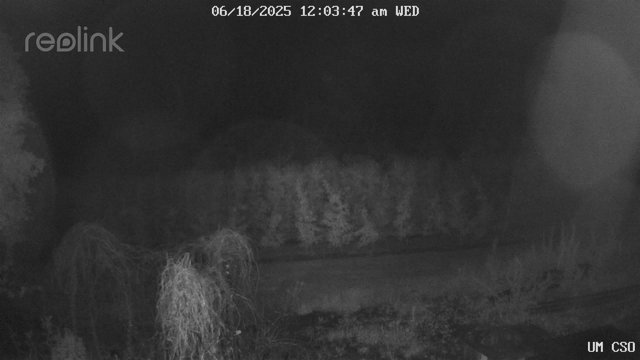 time-lapse frame, UM CSO webcam