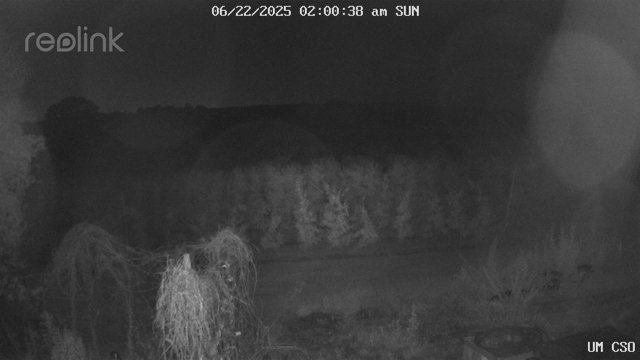 time-lapse frame, UM CSO webcam