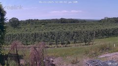 view from UM CSO on 2025-06-22