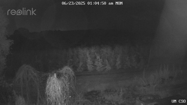 time-lapse frame, UM CSO webcam