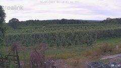 view from UM CSO on 2025-06-27