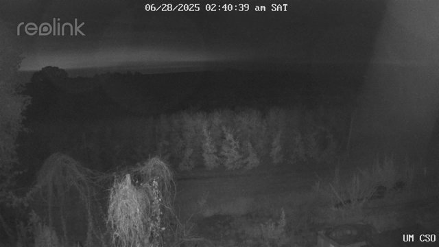 time-lapse frame, UM CSO webcam
