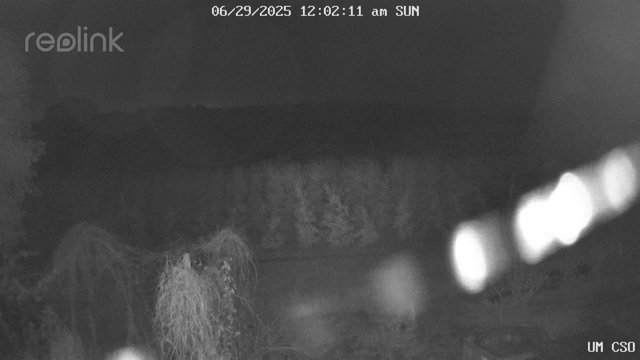 time-lapse frame, UM CSO webcam