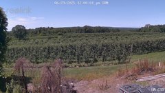 view from UM CSO on 2025-06-29