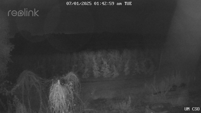 time-lapse frame, UM CSO webcam