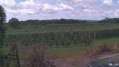 view from UM CSO on 2025-07-01