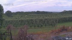 view from UM CSO on 2025-07-02