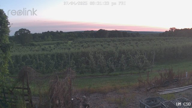 time-lapse frame, UM CSO webcam