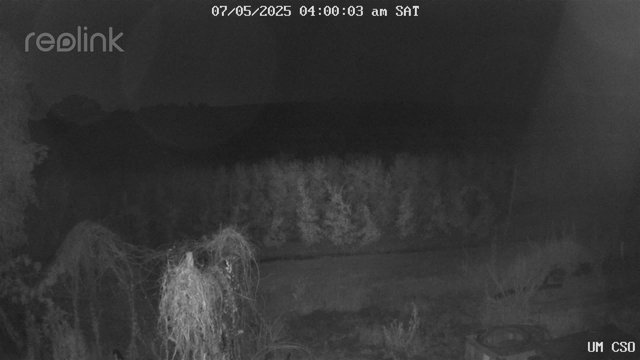 time-lapse frame, UM CSO webcam