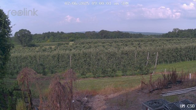time-lapse frame, UM CSO webcam