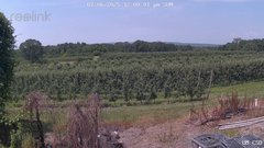 view from UM CSO on 2025-07-06