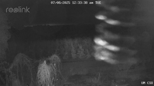 time-lapse frame, UM CSO webcam
