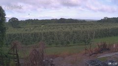 view from UM CSO on 2025-07-08