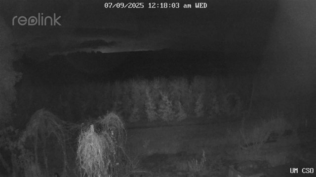 time-lapse frame, UM CSO webcam