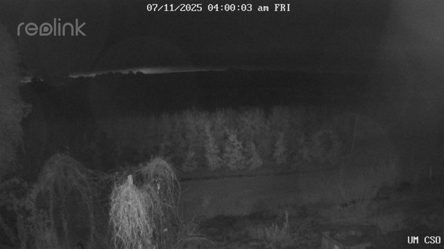 time-lapse frame, UM CSO webcam