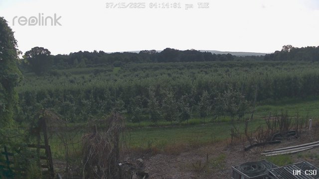 time-lapse frame, UM CSO webcam