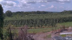 view from UM CSO on 2025-07-28
