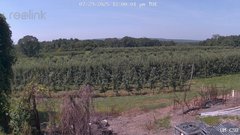 view from UM CSO on 2025-07-29