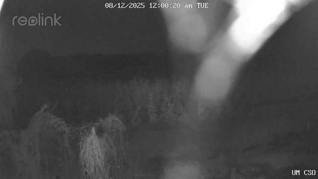 time-lapse frame, UM CSO webcam