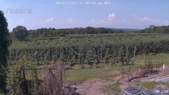view from UM CSO on 2025-08-13