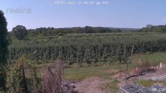 view from UM CSO on 2025-08-15