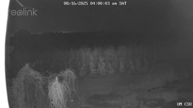 time-lapse frame, UM CSO webcam