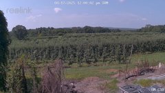 view from UM CSO on 2025-08-17