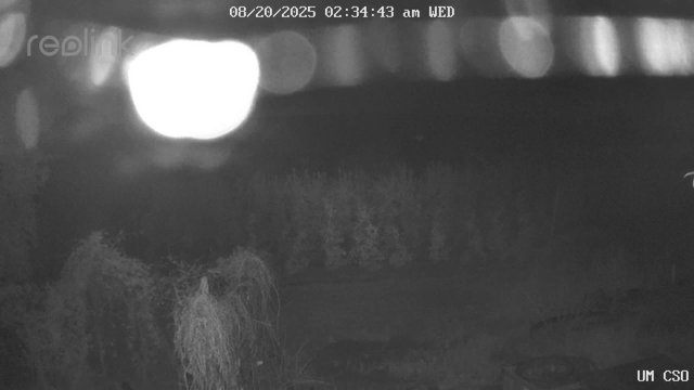 time-lapse frame, UM CSO webcam