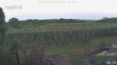 view from UM CSO on 2025-08-23