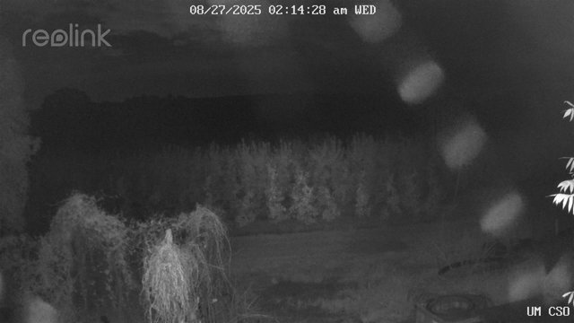 time-lapse frame, UM CSO webcam