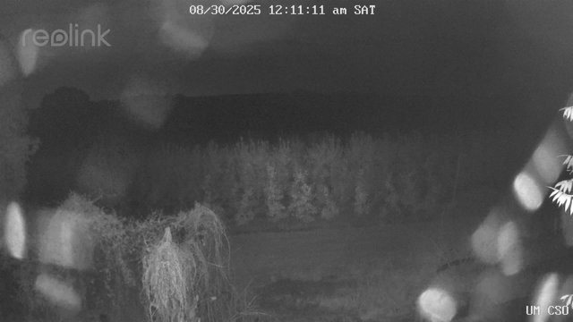time-lapse frame, UM CSO webcam