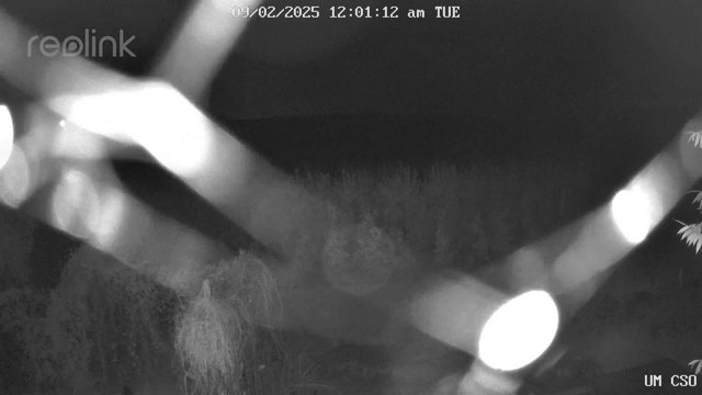 time-lapse frame, UM CSO webcam