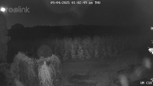 time-lapse frame, UM CSO webcam