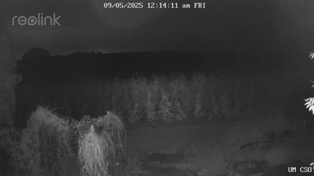 time-lapse frame, UM CSO webcam