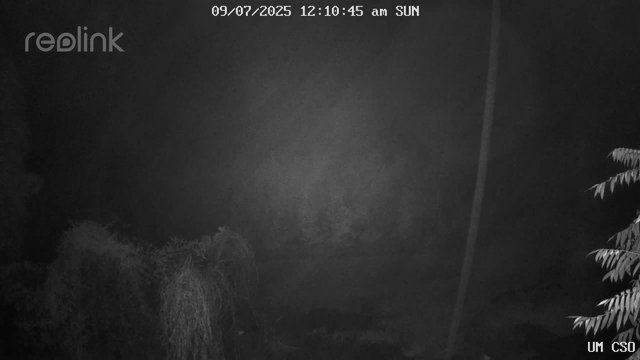 time-lapse frame, UM CSO webcam