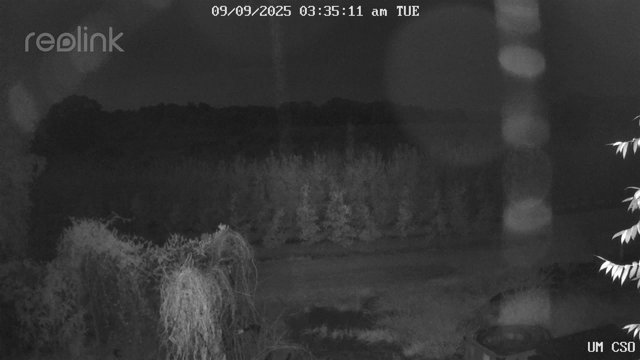 time-lapse frame, UM CSO webcam