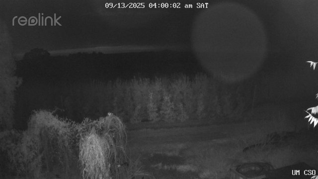 time-lapse frame, UM CSO webcam