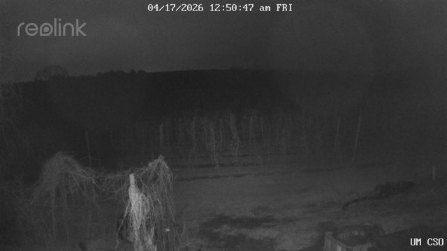 time-lapse frame, UM CSO webcam