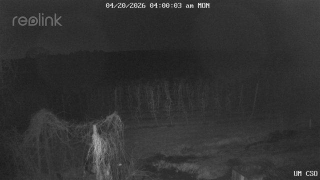 time-lapse frame, UM CSO webcam