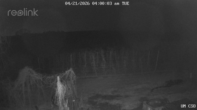 time-lapse frame, UM CSO webcam