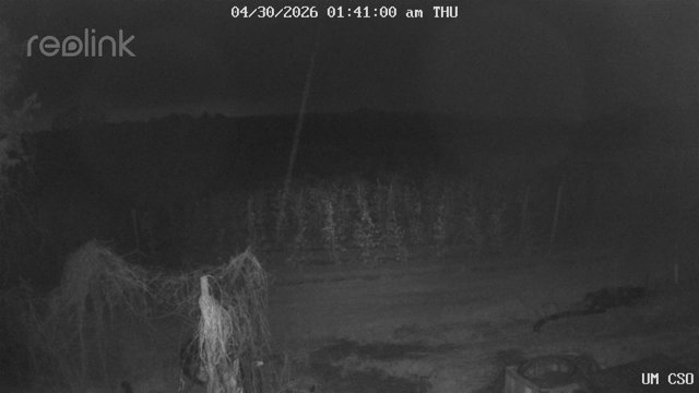 time-lapse frame, UM CSO webcam