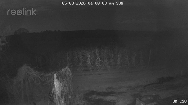 time-lapse frame, UM CSO webcam