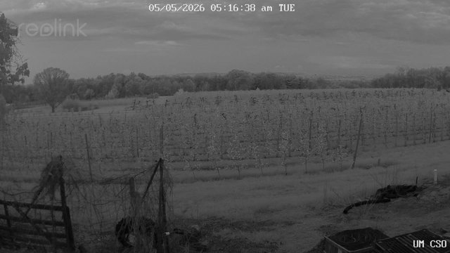 time-lapse frame, UM CSO webcam