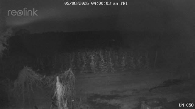 time-lapse frame, UM CSO webcam