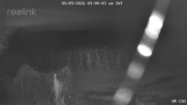 time-lapse frame, UM CSO webcam