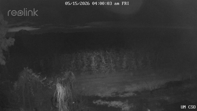 time-lapse frame, UM CSO webcam