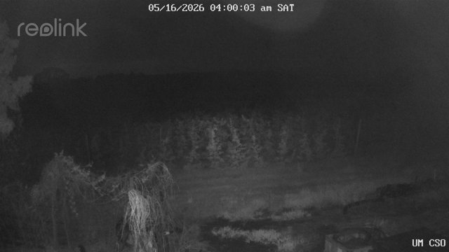 time-lapse frame, UM CSO webcam